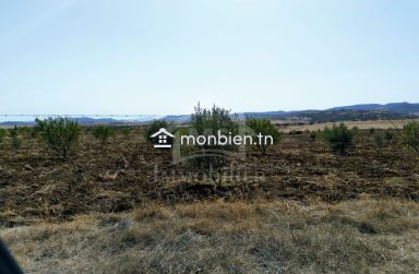 Terrain à vendre