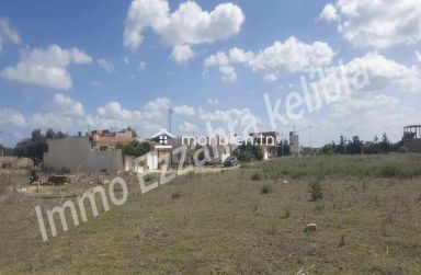 Des lots de terrain  a vendre à kelibia