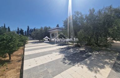 Spacieuse maison S+2 à Hammamet Sud à vendre 51355351