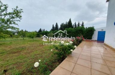 Verger d’exception à Borj Hfaïedh – Une adresse rare entre Bouargoub et Hammamet