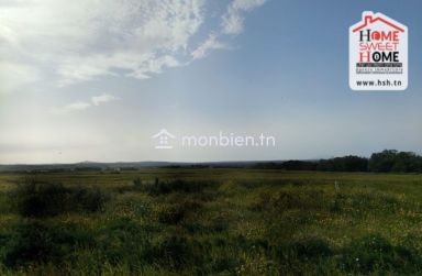 Terrain Agricole Chema à Vendre à Hammem Ghzez