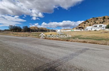 51355351للبيع أرض صبغة سكنية في الحمامات الجنوبية