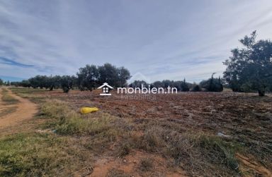 Terrain de 970 m² à Hammamet Sud à vendre à 230 MD 51355351