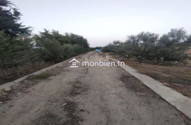 Terrain clôtuiré de 13337 m² à Béni Khiar à vendre 51355351