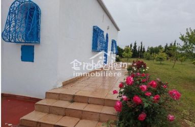 Verger d’exception à Borj Hfaïedh – Une adresse rare entre Bouargoub et Hammamet