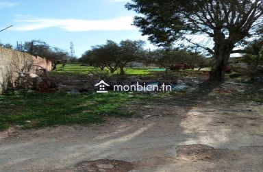 a vendre situé a jinen ennacer sur la route principale.
