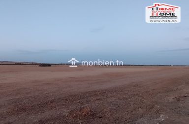 Terrain Agricole Lusaka à Vendre à Zaghouan