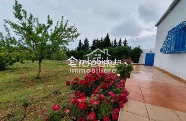 Verger d’exception à Borj Hfaïedh – Une adresse rare entre Bouargoub et Hammamet