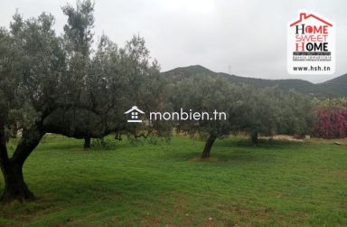 Ferme EL Baha à Vendre à Mornag