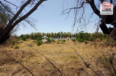 Terrain Agricole Sarand à Vendre à Menzel Bouzalfa