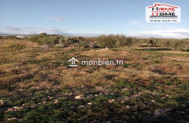 Terrain Agricole Erraja à Vendre à Zaghouan