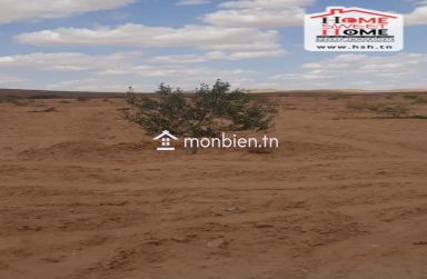 Terrain Agricole Louza à Vendre à EL Fajja Gafsa