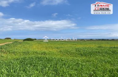 Terrain Agricole Karay à Vendre à Hammem Ghzez