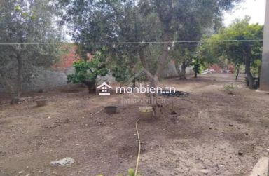 Maison S+3 avec jardin et garage à vendre à Hammamet51355351