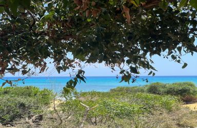 un terrain de 5 ha a partager par 5 personnes