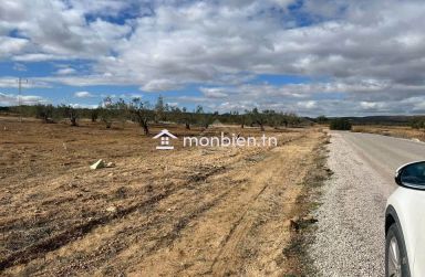 Terrain à Hammamet Sud à vendre 51355351