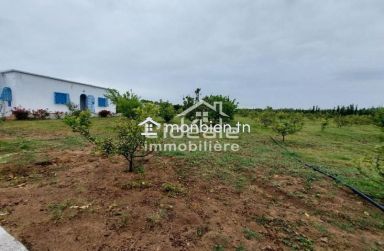 Verger d’exception à Borj Hfaïedh – Une adresse rare entre Bouargoub et Hammamet