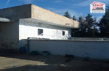 Terrain Agricole Sérénité à Vendre à Menzel Bouzelfa