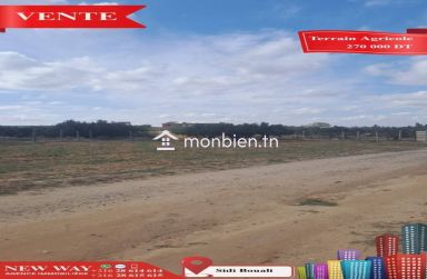Terrain Agricole à Sidi Bouali près de l'autoroute et GP1