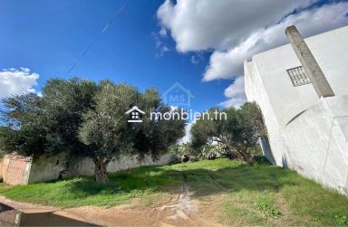 Lot de terrain de 250 m² à Hammamet à vendre 51355351