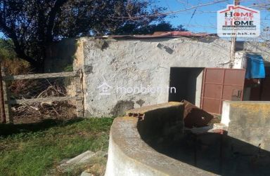 Terrain agricole Olivora à vendre à Menzel Bouzelfa
