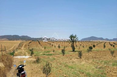 Terrain de 6.5 hectares avec une maison à vendre à Hammamet Sud 51355351