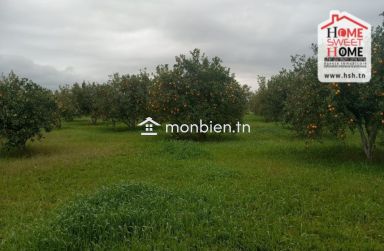 Terrain Agricole TerraNova à Vendre à Mornag