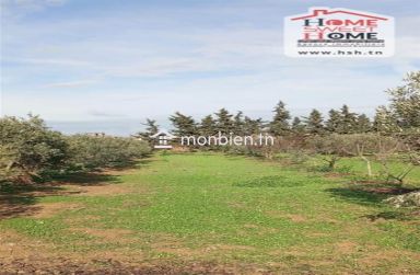 Terrain agricole Nectar à vendre à Mornaguia