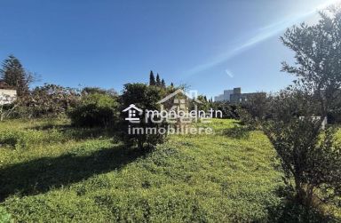 À vendre – 4 lots de terrain à Hammamet (Zone Craxi)