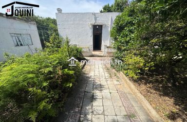 Maison 450 M² à Bellevue Tunis