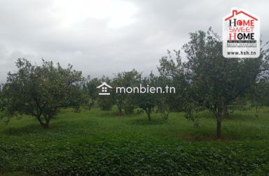 Terrain Agricole TerraNova à Vendre à Mornag