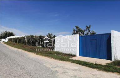 Verger d’exception à Borj Hfaïedh – Une adresse rare entre Bouargoub et Hammamet