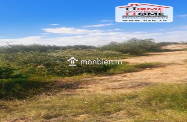 Terrain Agricole Prairie à Vendre à Feriana