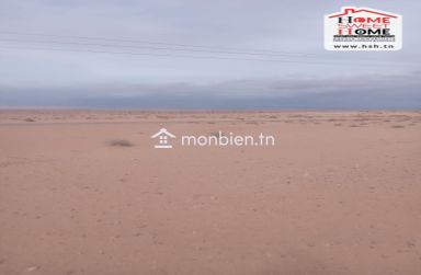 Terrain Agricole Kiara à Vendre à Metlaoui, Gafsa