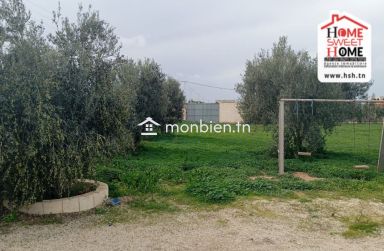 Terrain Habitation Orélia à Vendre à Borj Touil