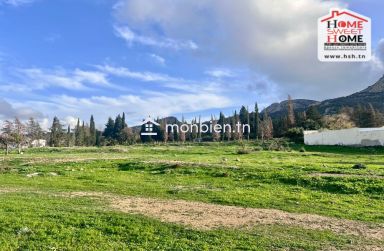 Terrain Santal à Vendre à Zaghouan