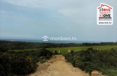 Terrain Agricole Chema à Vendre à Hammem Ghzez