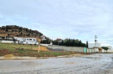 51355351للبيع أرض صبغة سكنية في الحمامات الجنوبية