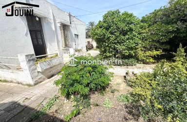 Maison 450 M² à Bellevue Tunis
