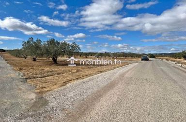 Terrain de 3789 m² à Hammamet Sud à vendre 51355351