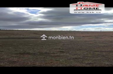 Terrain Agricole Haiza à Vendre à Kef