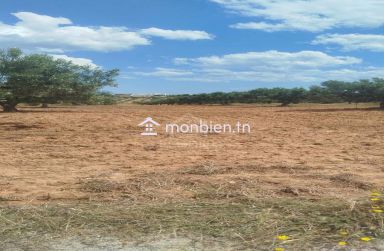 Terrain de 4000 m² à vendre à 100 MD à Hammamet Sud 51355351