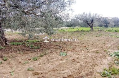 Un terrain de 220 m² à Birbouragba à vendre 51355351