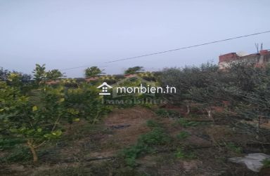 Terrain clôtuiré de 13337 m² à Béni Khiar à vendre 51355351