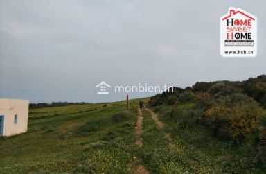 Terrain Agricole Chema à Vendre à Hammem Ghzez