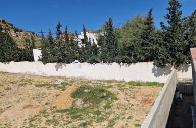 51355351للبيع أرض صبغة سكنية في الحمامات