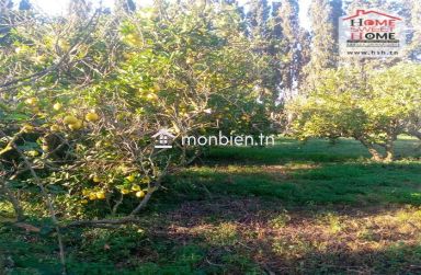 Terrain agricole Oraniva à vendre à Menzel Bouzelfa