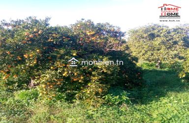 Terrain Agricole Sérénité à Vendre à Menzel Bouzelfa