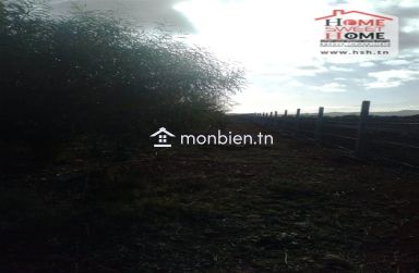 Terrain agricole Solvia à vendre à Borj El Amri