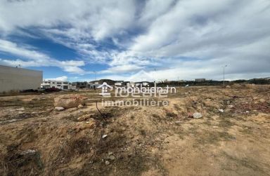 À VENDRE – Terrain Exceptionnel à Hammamet Nord / Ceinture Nabeul